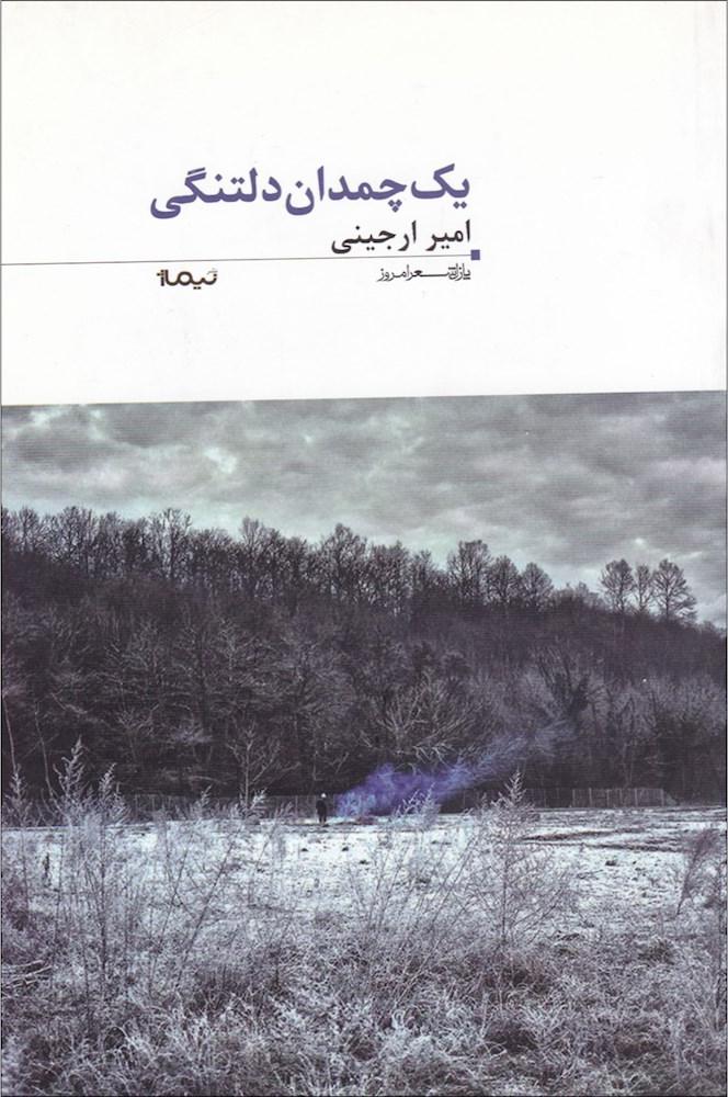 کتاب ۱ چمدان دلتنگی - پازل شعر امروز۳۵