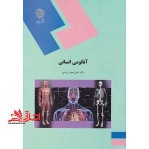 فیزیولوژی انسان