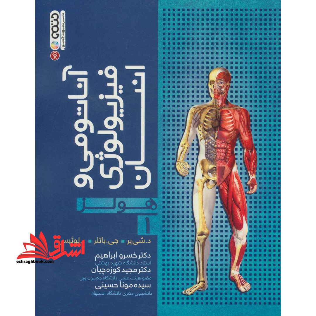 آناتومی و فیزیولوژی انسانی هولز جلد ۱ اول مصور تمام رنگی