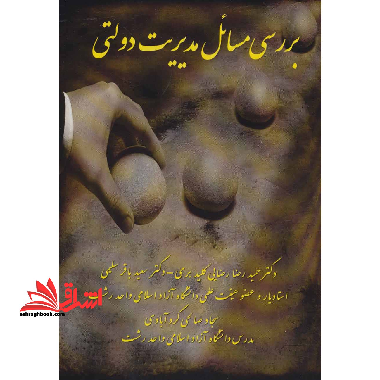 بررسی مسائل مدیریت دولتی