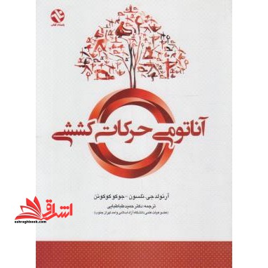 آناتومی حرکات کششی