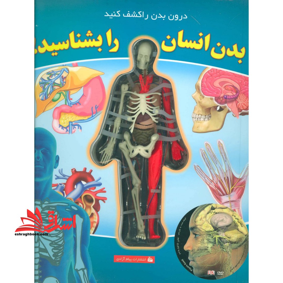 بدن انسان را بشناسید
