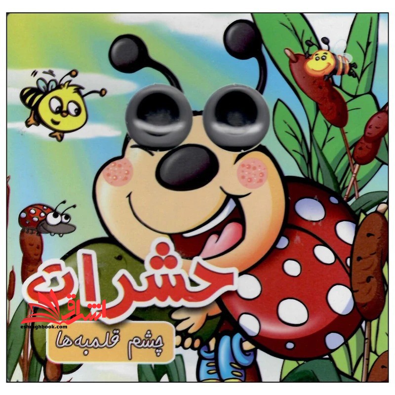 حشرات چشم قلمبه ها