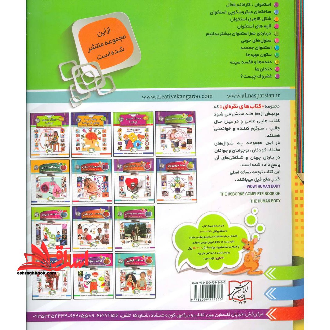 دانستنی هایی درباره بدن انسان: استخوان بندی و مفاصل