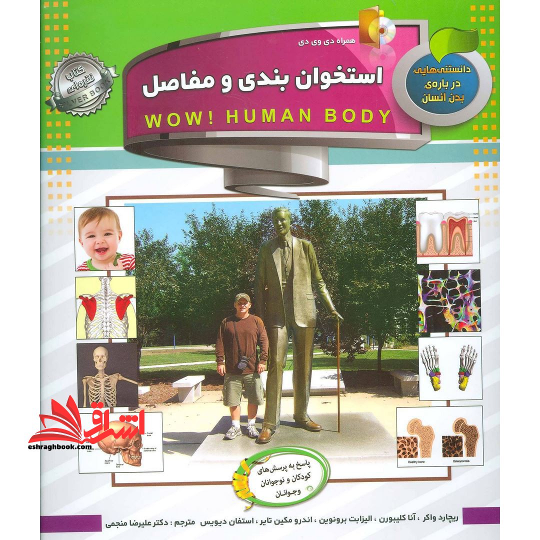 دانستنی هایی درباره بدن انسان: استخوان بندی و مفاصل