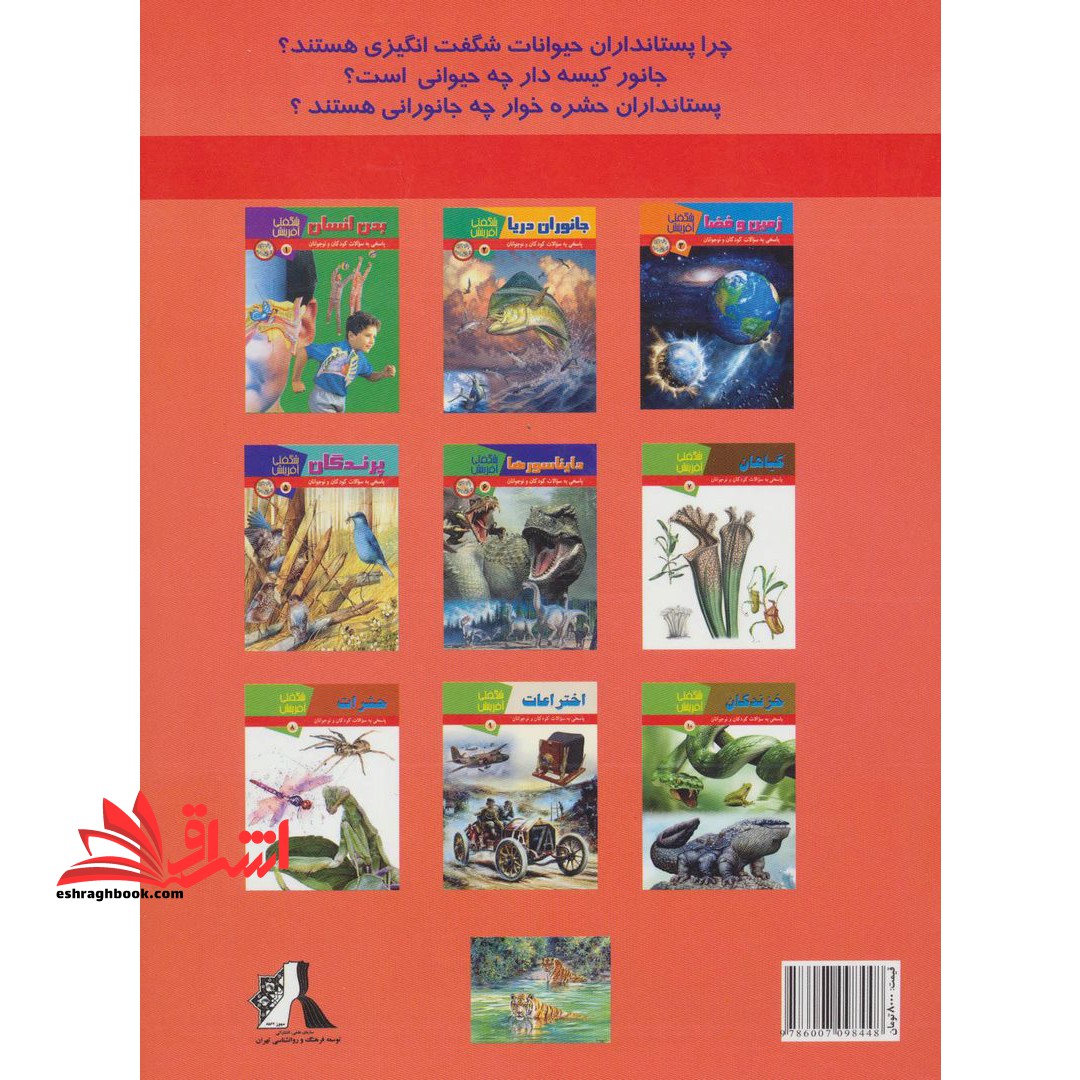 یاد می گیریم وسایل نقلیه: شیوه های تقویت هوش و یادگیری زبان