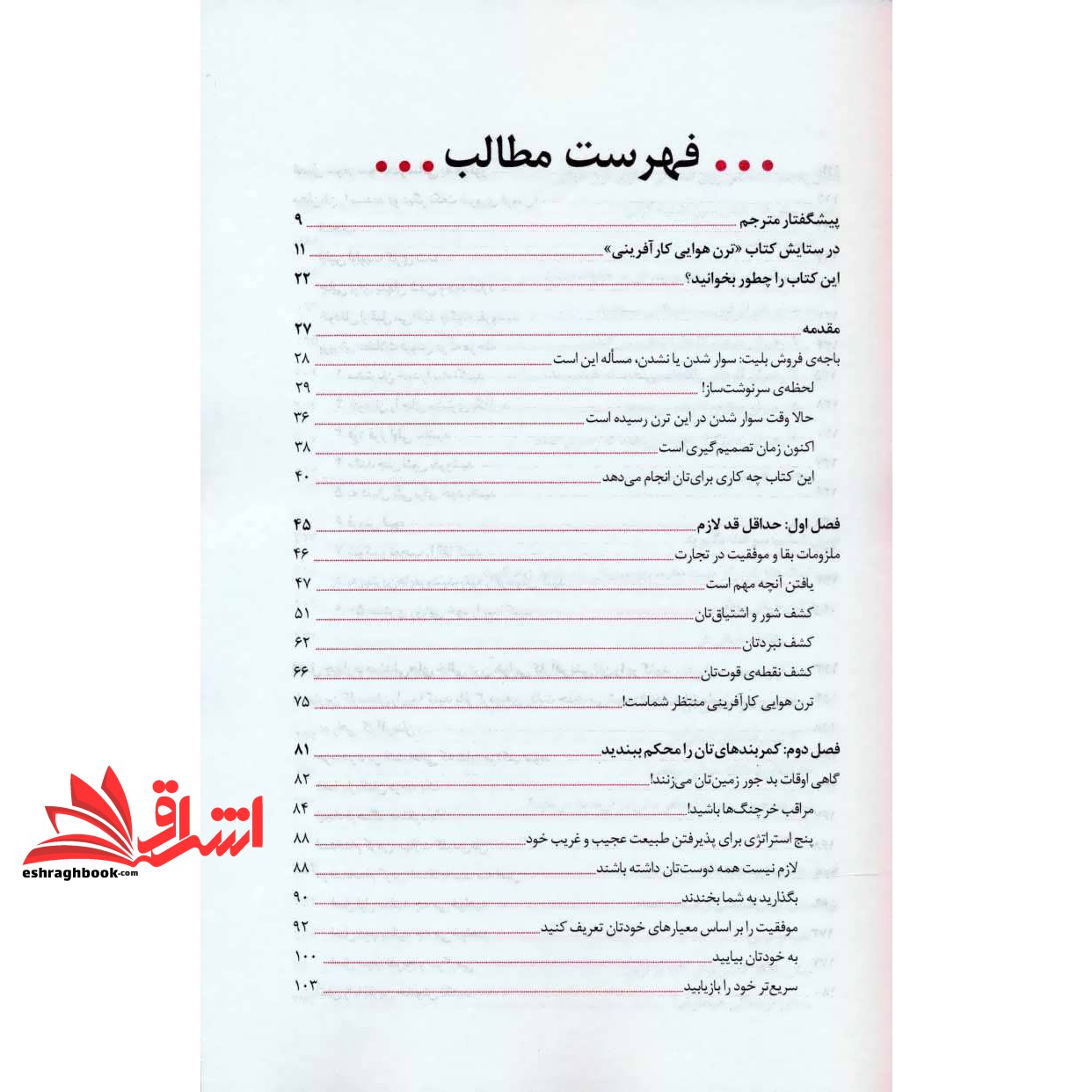 کتاب ترن هوایی کارآفرینی