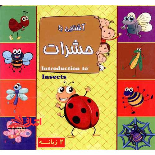آشنایی با حشرات (دوزبانه/خشتی کوچک