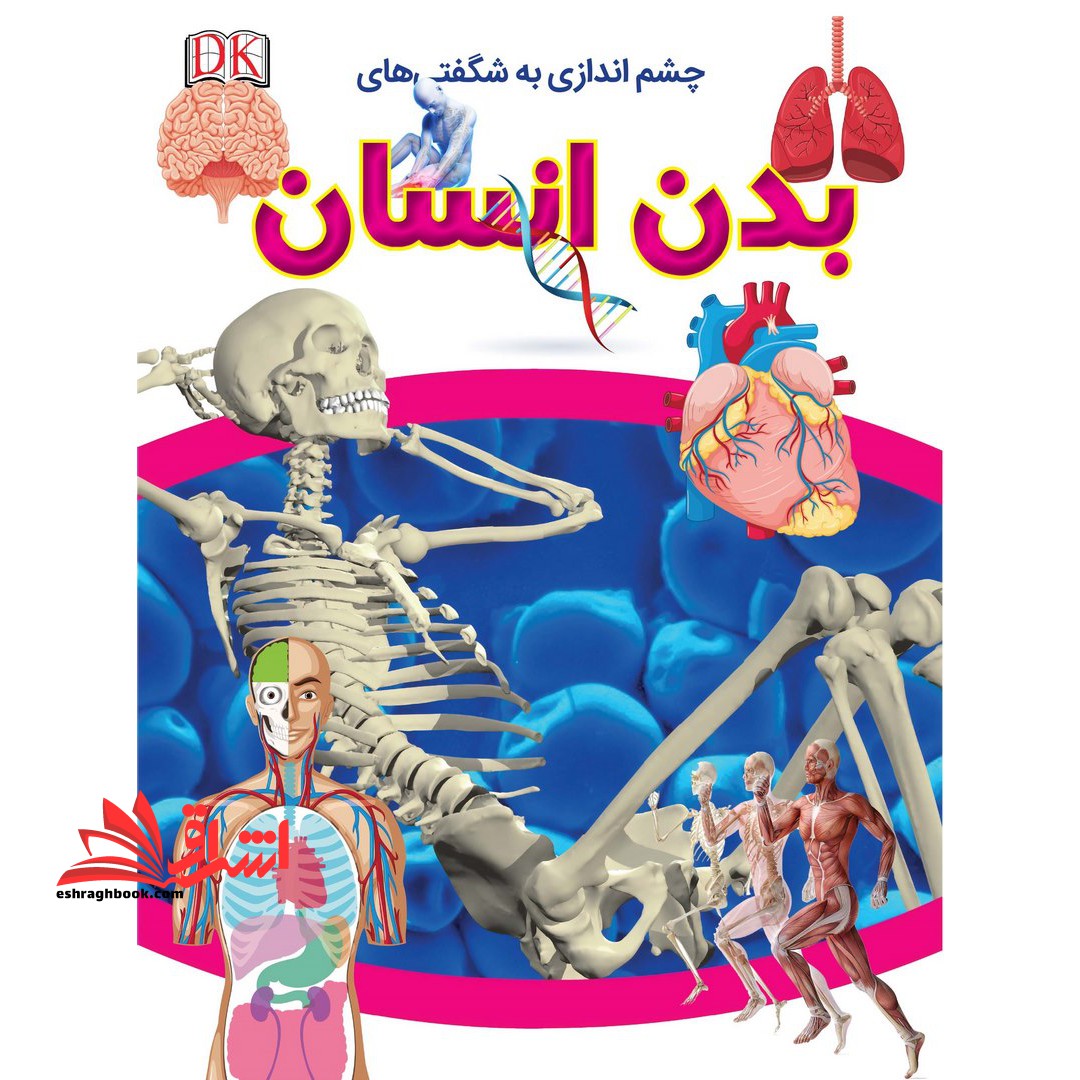 چشم اندازی به شگفتی های بدن انسان