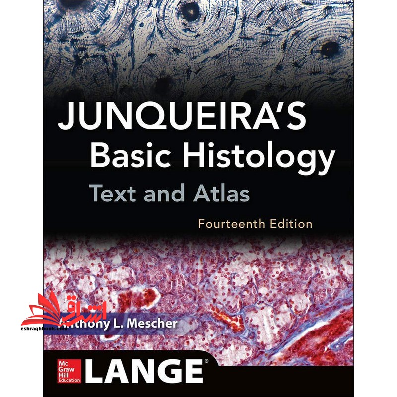 junqueiras basic histology