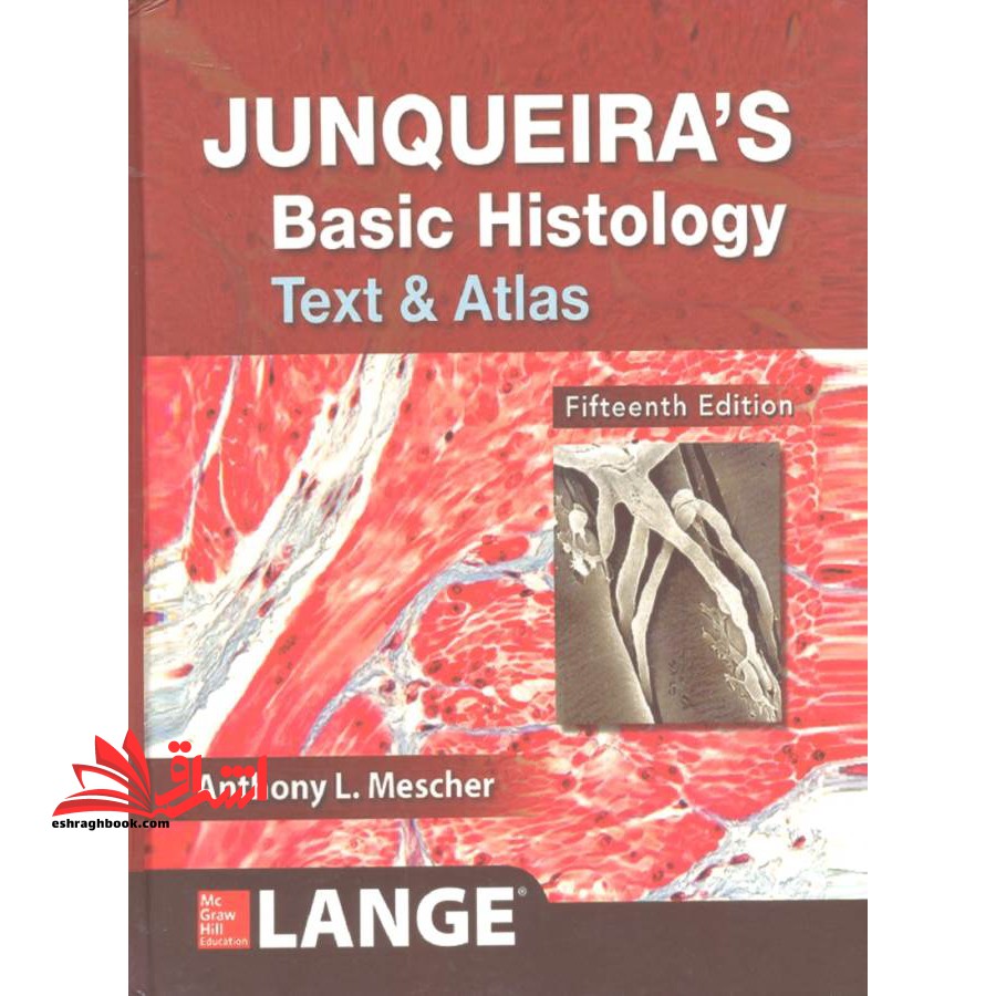junqueiras basic histology text & atlas