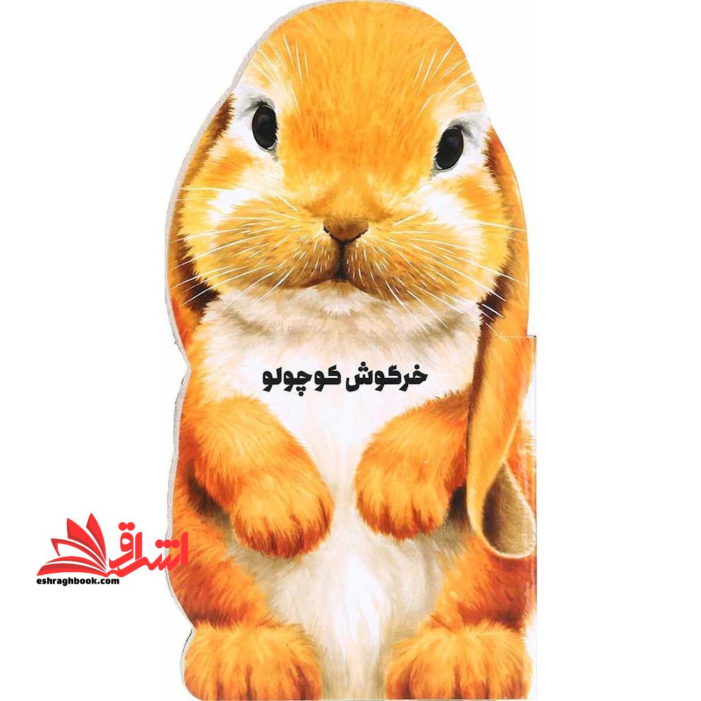 کتاب خرگوش کوچولو مجموعه حیوانات کوچک