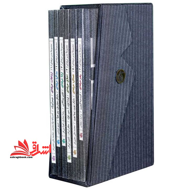 رهبر حرفه ای- مجموعه مدیر حرفه ای- ۶