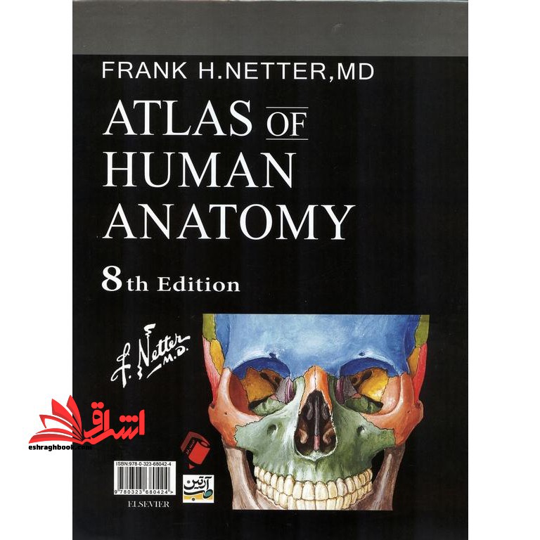 Netter Atlas Of Human Anatomy ۲۰۲۳ گلاسه با اپندکس eighth edition