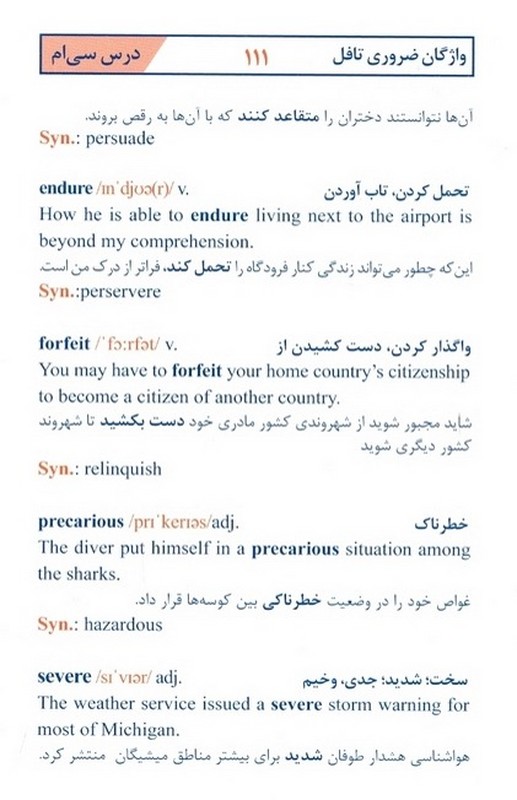 مغز اتود owner ۰.۵