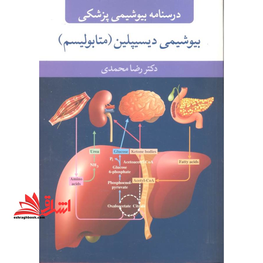 درسنامه بیوشیمی پزشکی: بیوشیمی دیسیپلین (متابولیسم)