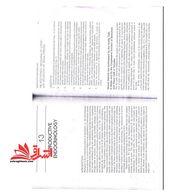 جزوه Endocrine Physiology،فیزیولوژی تولید مثل
