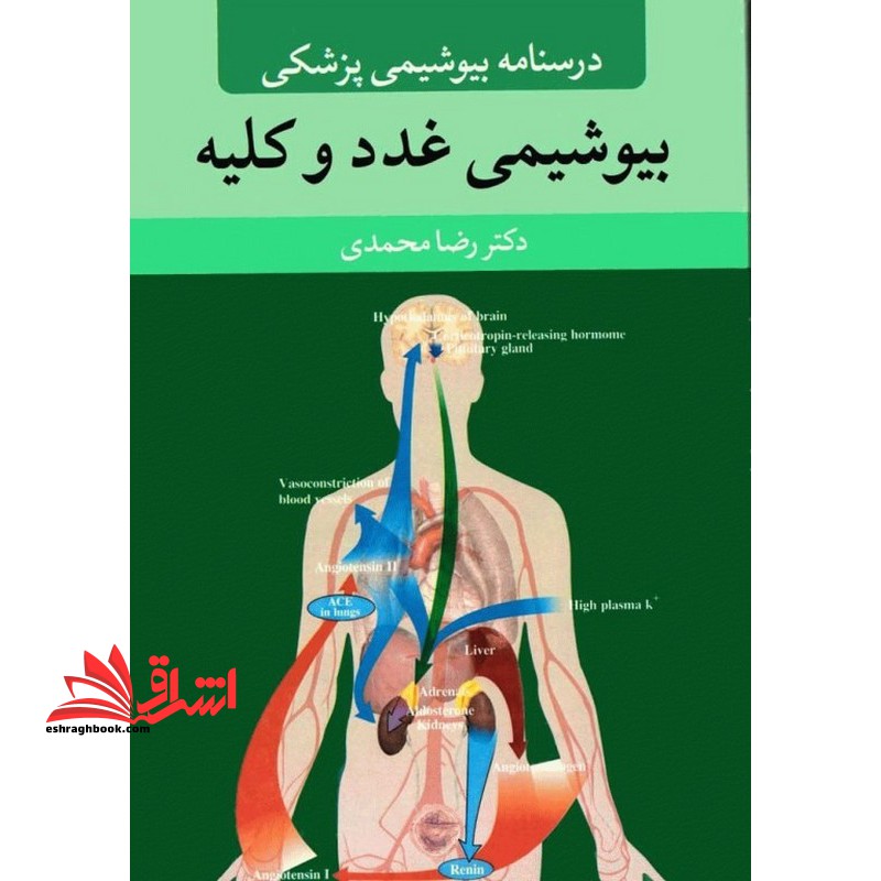درسنامه بیوشیمی پزشکی بیوشیمی غدد و کلیه