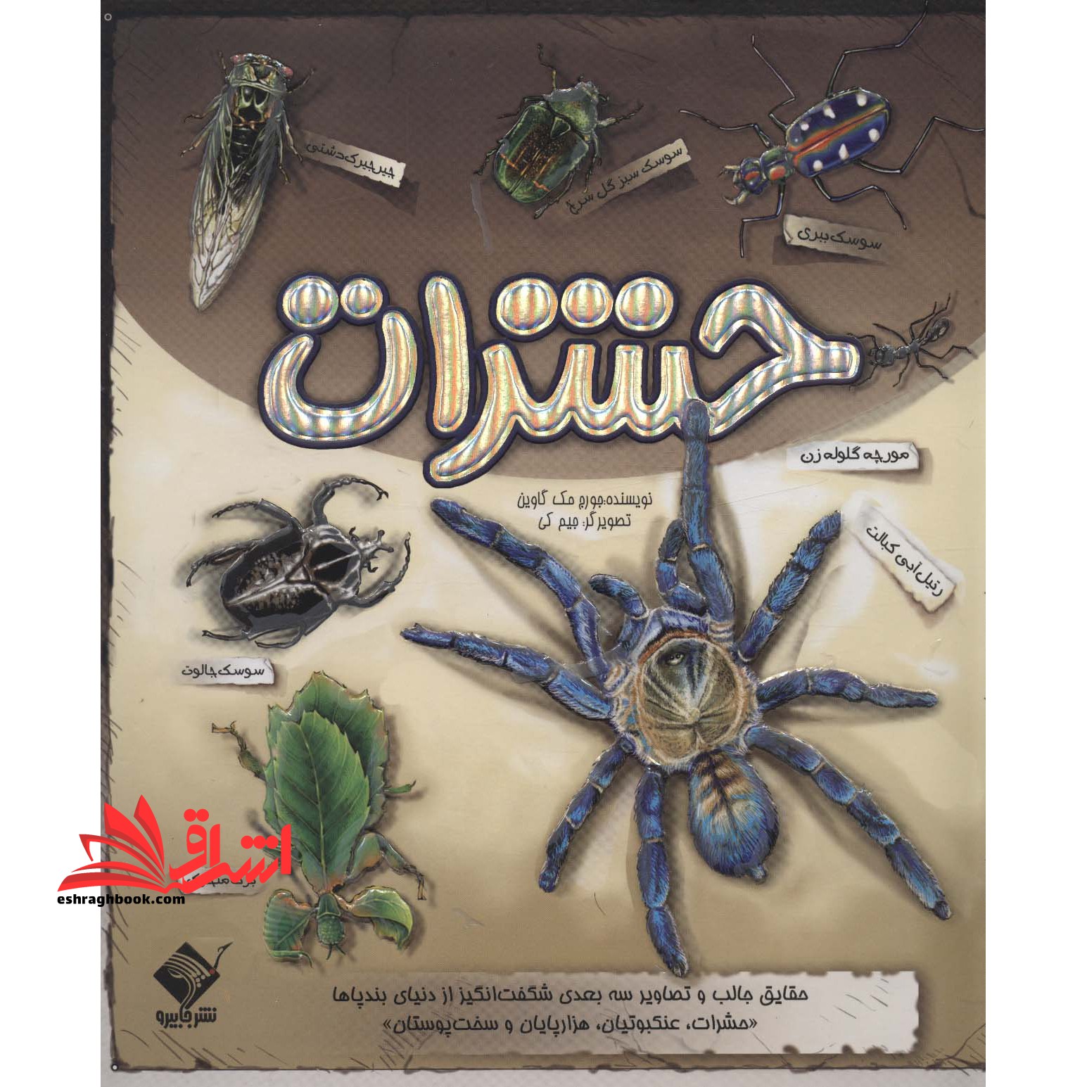 کتاب برجسته حشرات (حقایق جالب و تصاویر سه بعدی شگفت انگیز از دنیای بندپاها) ، (گلاسه) سه بعدی