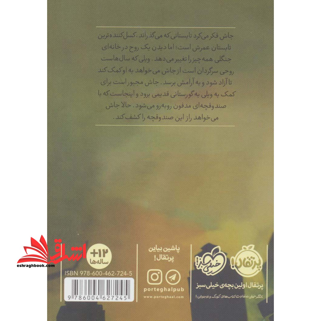 کتاب صندوقچه مدفون