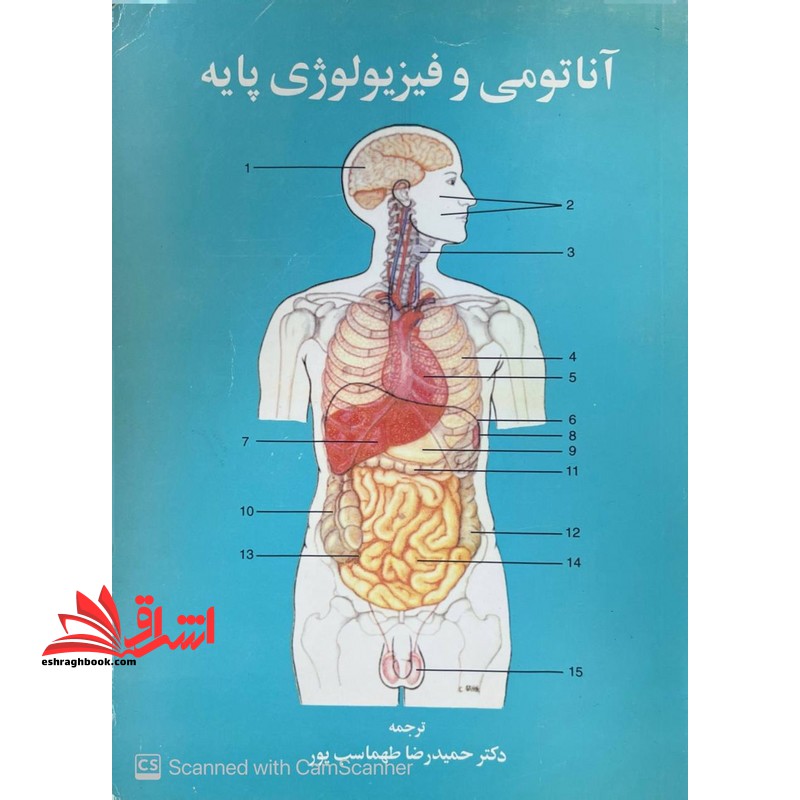 آناتومی و فیزیولوژی پایه جلد دوم