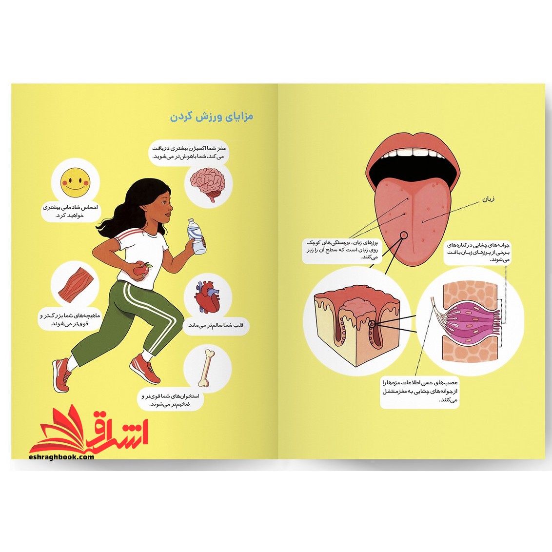 بدن انسان کتاب کار ، سرگرمی و آموزش