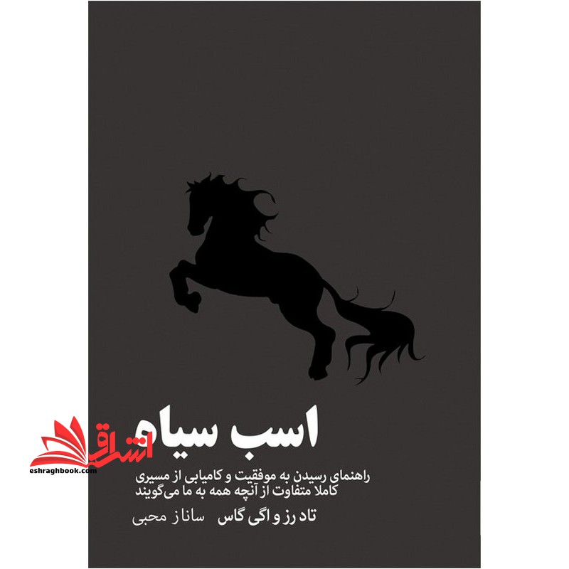 اسب سیاه (رسیدن به موفقیت و کامیابی از مسیری کاملا متفاوت از آنچه همه به ما می گویند