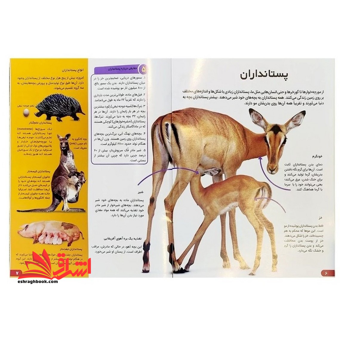 دانستنی های شگفت انگیزی از حیوانات