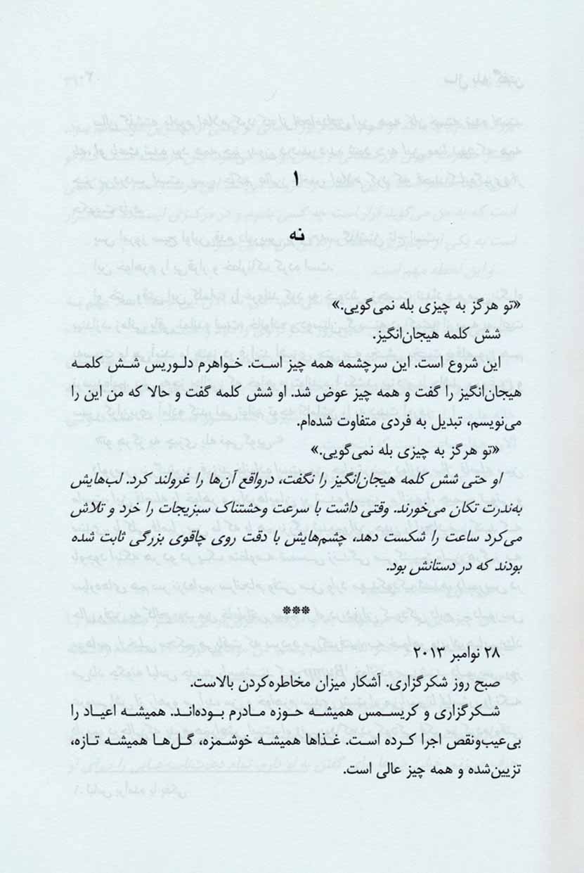 کتاب سال بله گفتن - چگونه با شادمانی مشکلات را حل کنید،در زیر نور آفتاب بایستید و خودتان باشید!