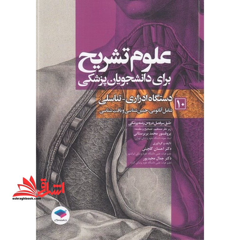 علوم تشریح برای دانشجویان پزشکی ۱۰ دستگاه اداری-تناسلی