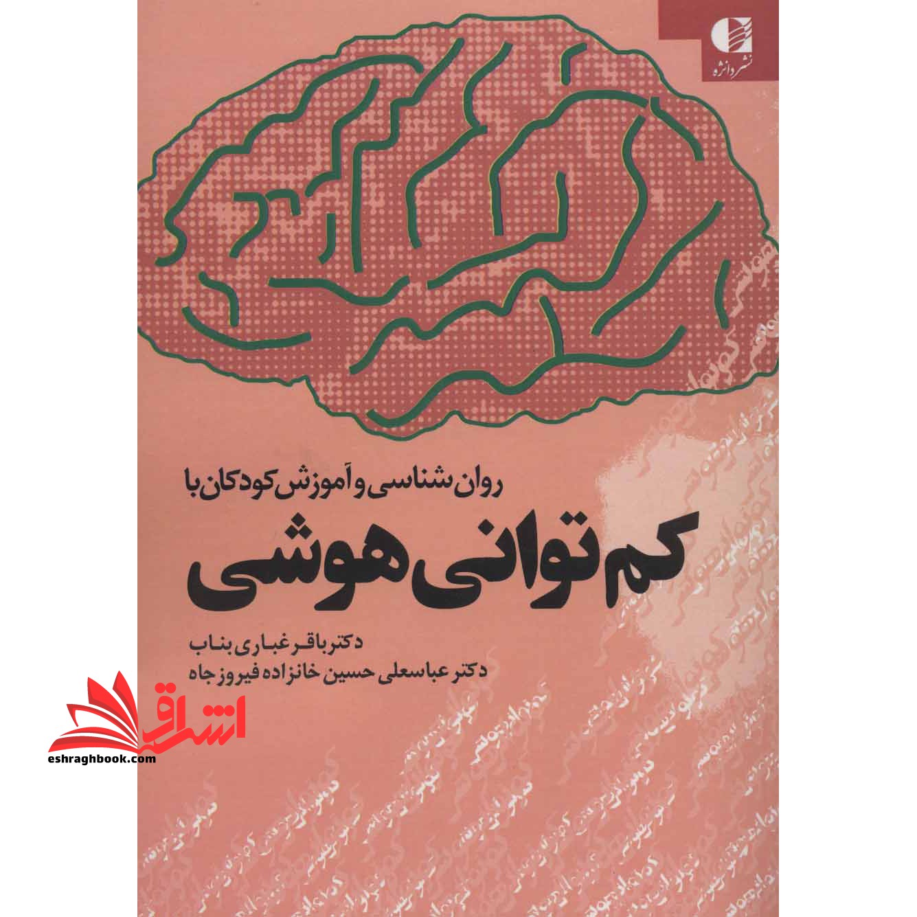روان شناسی و آموزش کودکان با کم توانی هوشی * نام درس دانشگاه پیام نور : روان شناسی و آموزش کودکان ناتوانی هوشی