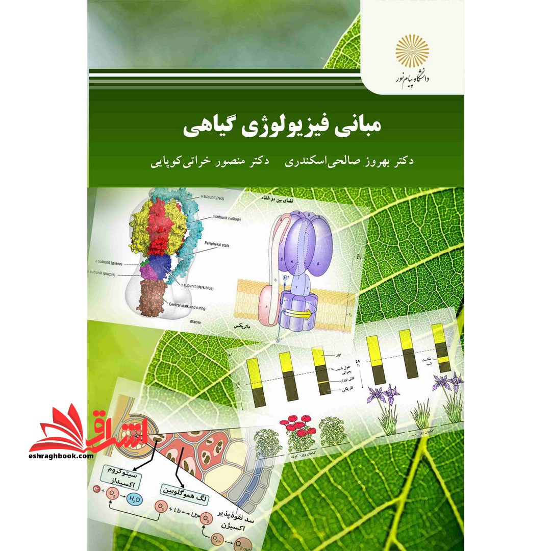 مبانی فیزیولوژی گیاهی****در حد نو****