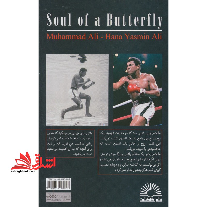 روح یک پروانه