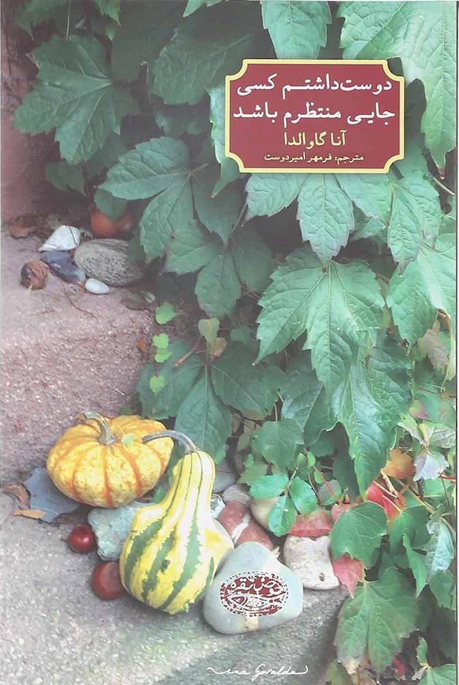 کتاب دوست داشتم کسی جایی منتظرم باشد