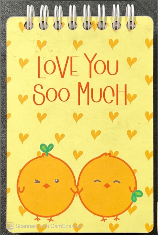 دفتر جیبی دکمه love you soo much گنجشک ۶۰ برگ (۱۲۰صفحه) ۷۰ گرم بی خط جلد ام دی اف ۳ میل /فنر بالا
