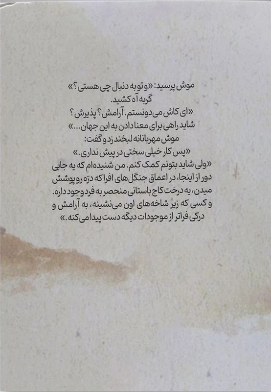 کتاب گربه ای که آرامش یاد داد