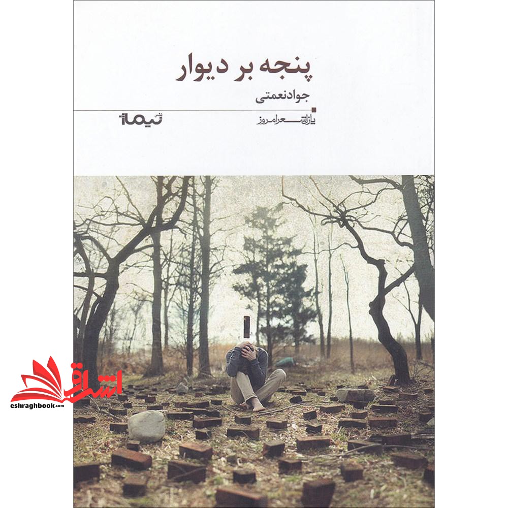 کتاب پنجه بر دیوار (پازل شعر امروز۱۹۶)